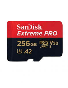 Carte mémoire Micro SD 256 Go
